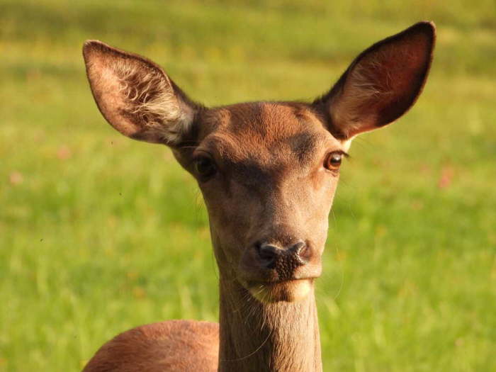 0824de5f-8042-4ba6-82b0-705d9a5532f1