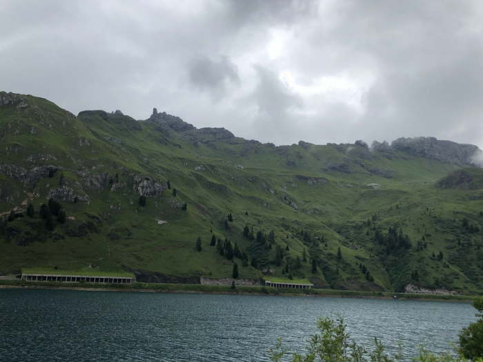 10bb84a1-8775-4c70-8e43-e52b0528d446