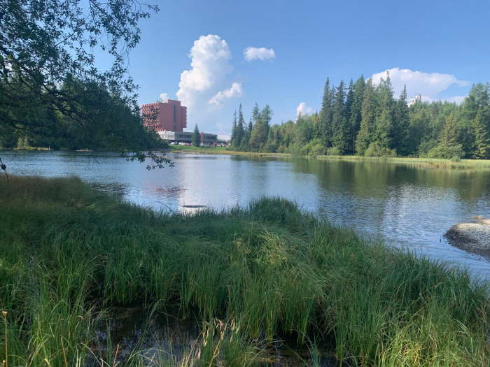 13f2feb3-a1f0-439c-aee3-554929d461f5