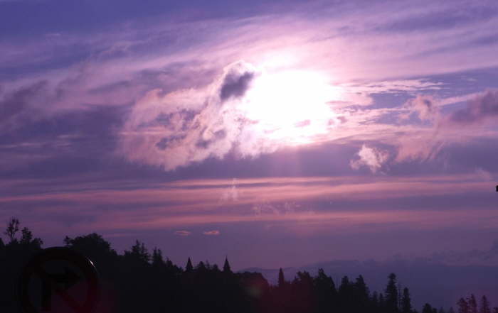 15d395c2-0a97-42e1-b253-7141e7ef3391