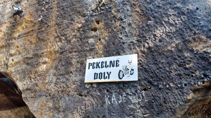 1f4736e1-7bd0-4e77-8407-eccb50e17282