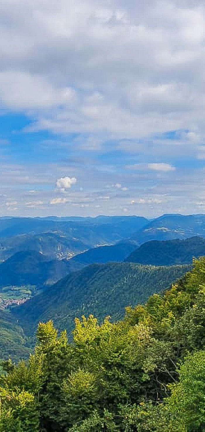 3009c776-e5b8-483f-ab34-90dee97c50a8