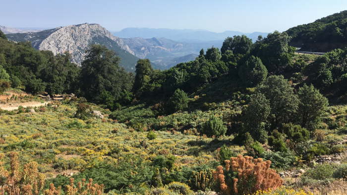 5058AC43-F6C1-4243-85A9-AB09B8933003