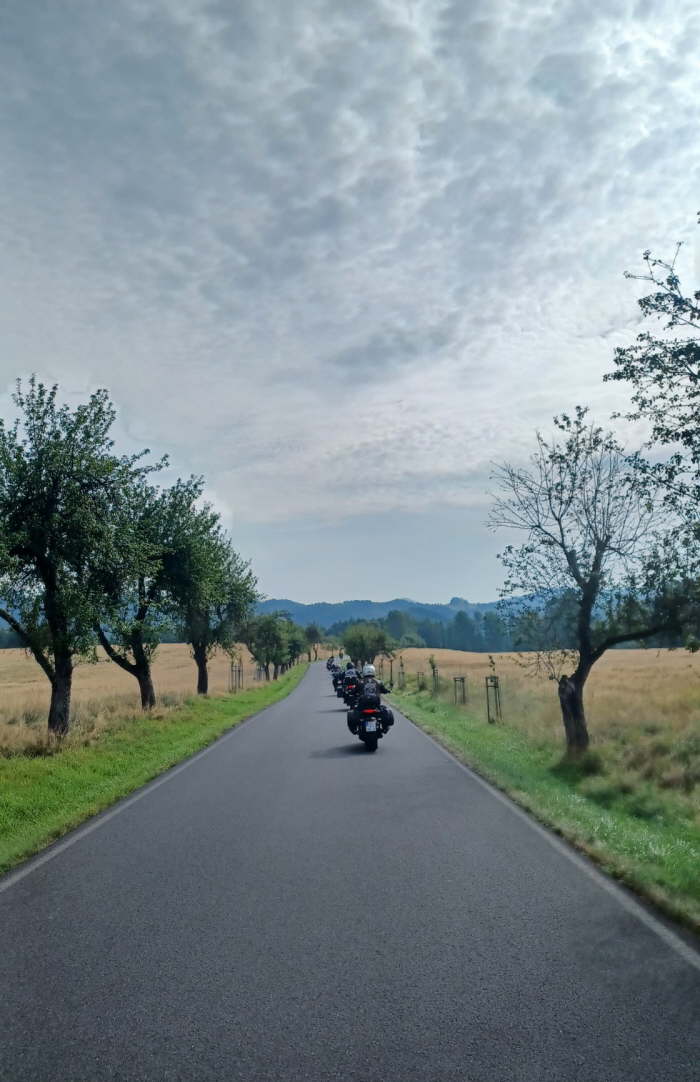 591c9d38-13a7-487d-9acd-fe252759b3e7