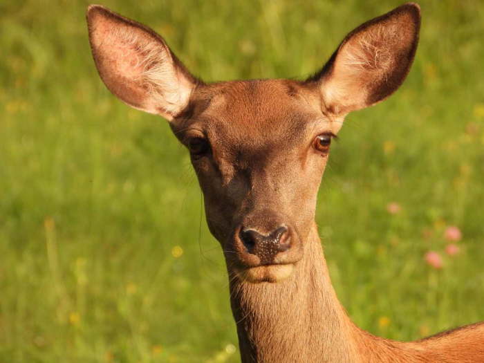 6e81353f-2a60-4bbc-a9ae-8a7ff7e97686