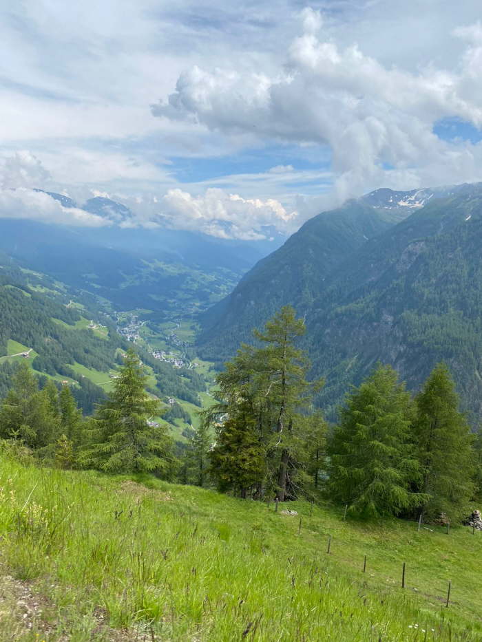 7706f008-0318-41d0-8a51-0d4edaa5f744