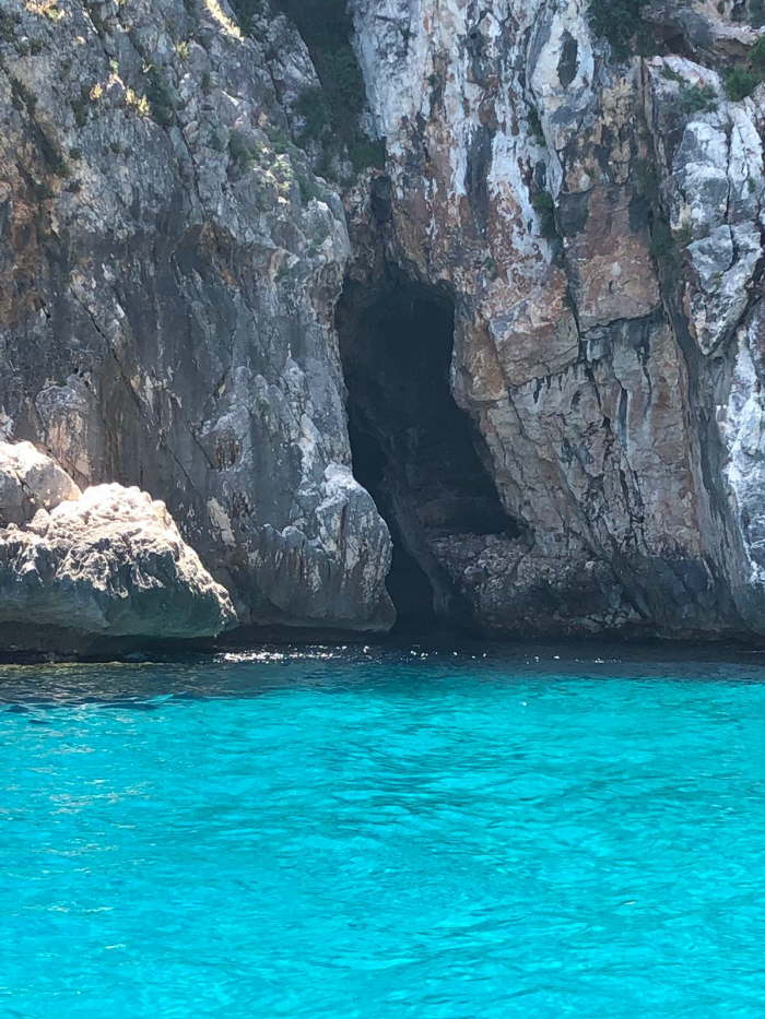 790a57ba-4d0a-4556-9639-60b672341946