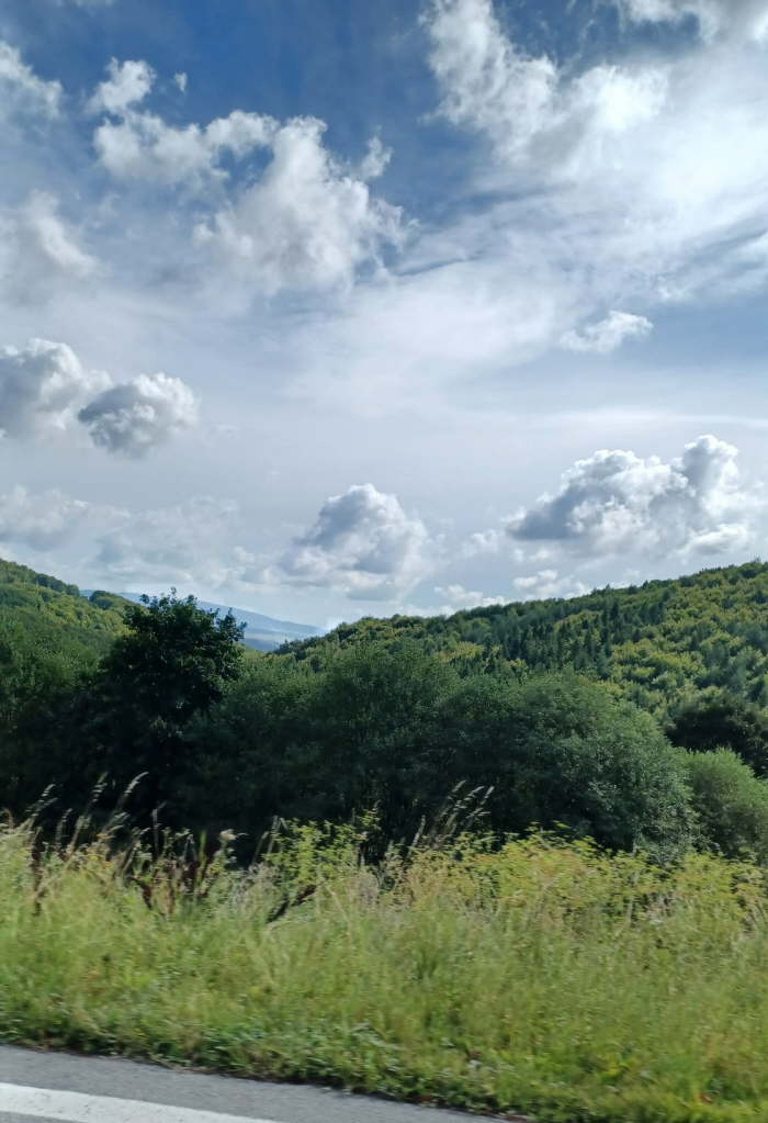 7bdede4f-a490-432c-b29e-20972d148736