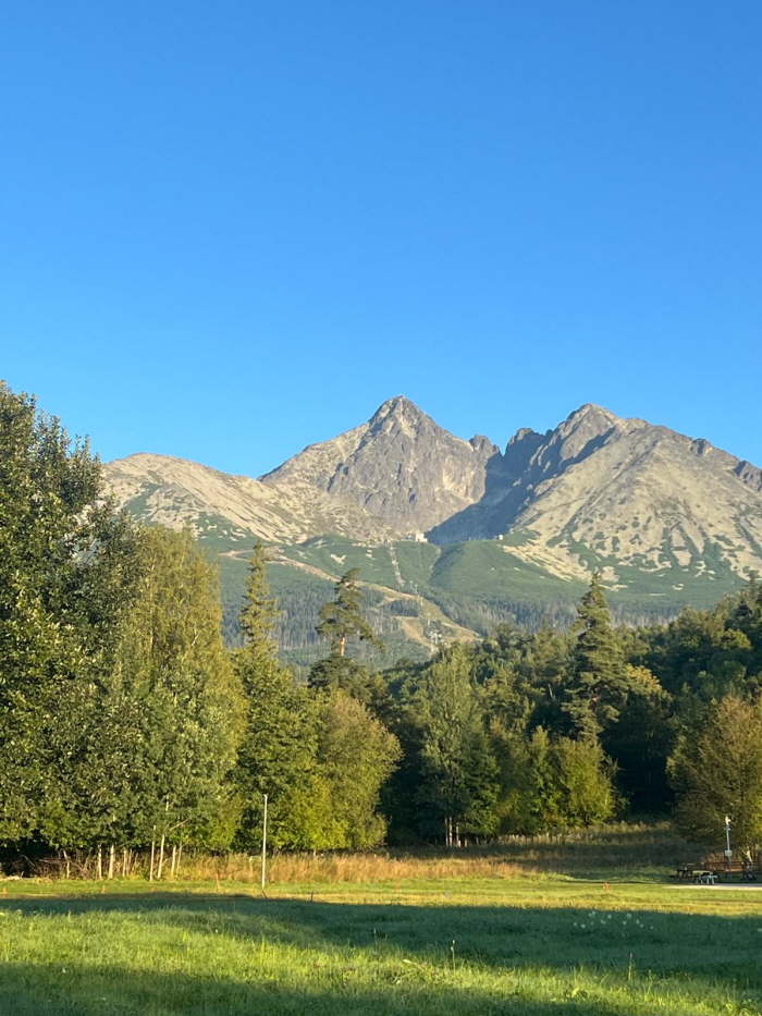 8bf29b49-0b9a-49c4-acd7-a4e3138370e1