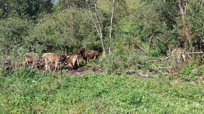 8e196304-16de-4faf-ae6a-8adab174864f