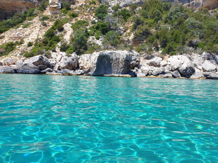 8e2fe89b-fb1f-4138-b412-2cbfa42cb9e9