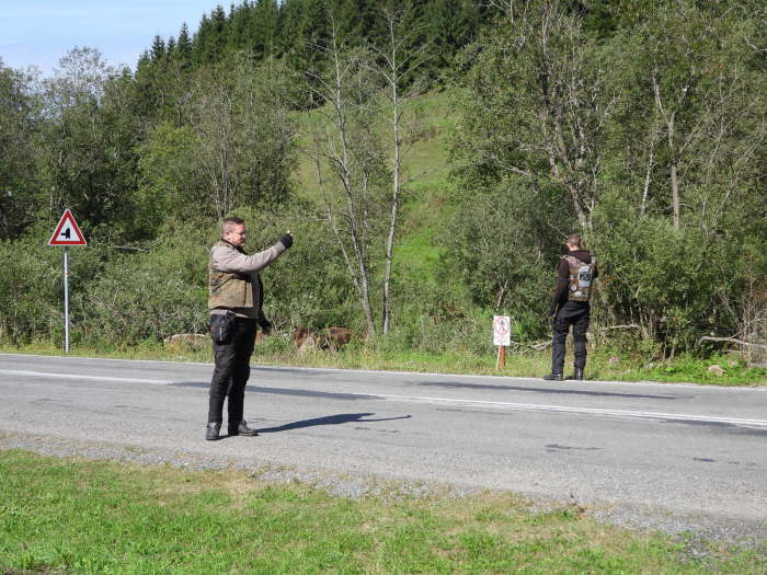 91e6468a-6b68-4e48-803e-e261e10d24dd