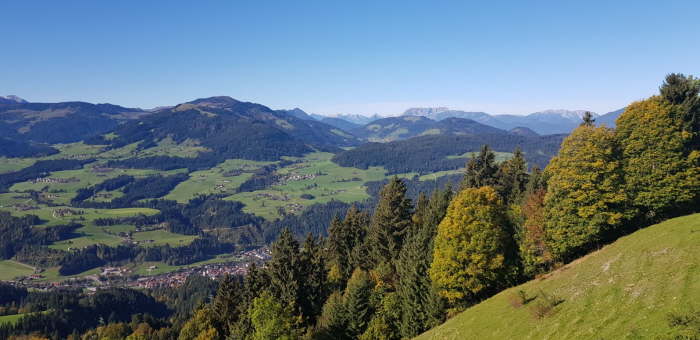 9ec0aad2-18a0-4a20-af52-d39955ce7029