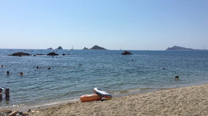 B4342F4A-F305-4507-869F-BBD0C753CFCD