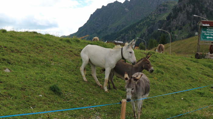 Motorradtour Truden 2020_0110