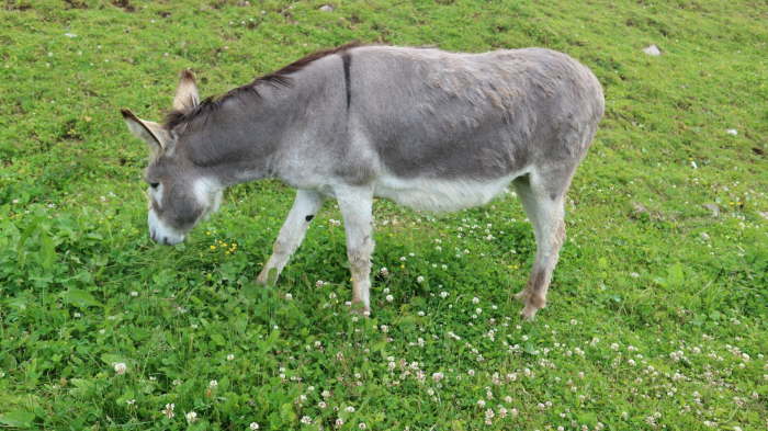 Motorradtour Truden 2020_0111