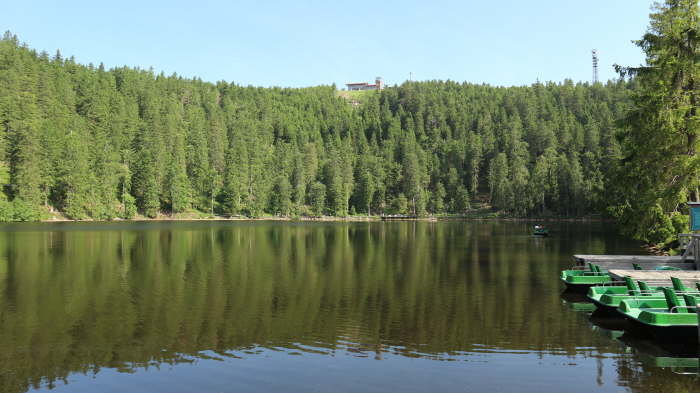 Schwarzwald_2021_06_19_0036