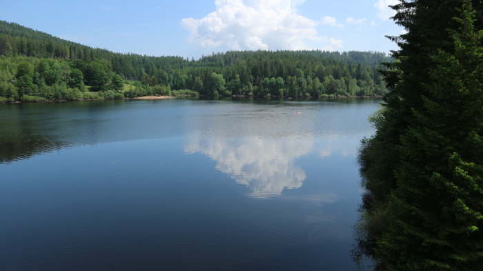 Schwarzwald_2021_06_19_0037