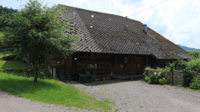 Schwarzwald_2021_06_19_0044