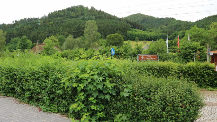 Schwarzwald_2021_06_19_0073