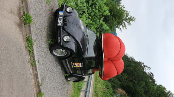 Schwarzwald_2021_06_19_0077