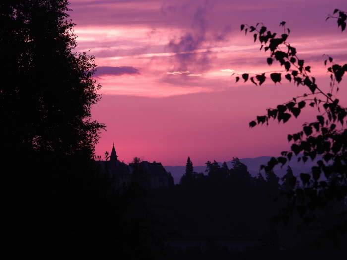 cac02fb3-8eb7-420c-a8ec-05b3c2ecd2ab