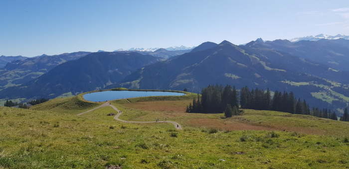 dcc760f8-0707-487c-b8e0-44dba4ff652a