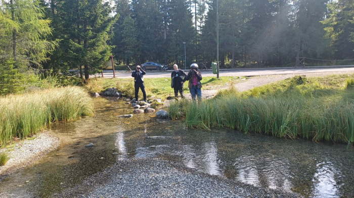 e0a4bc8a-fefe-4af8-a17b-86d55b03039e