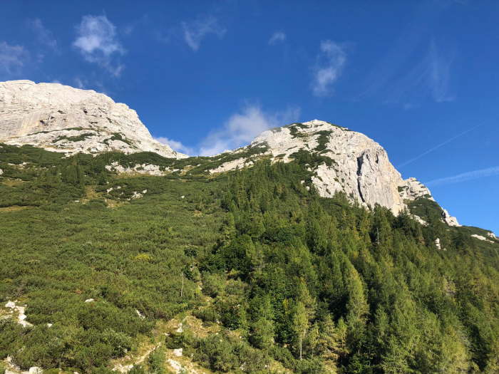 e869b3b0-b1ee-40a9-b4f1-c423df1b9a6d