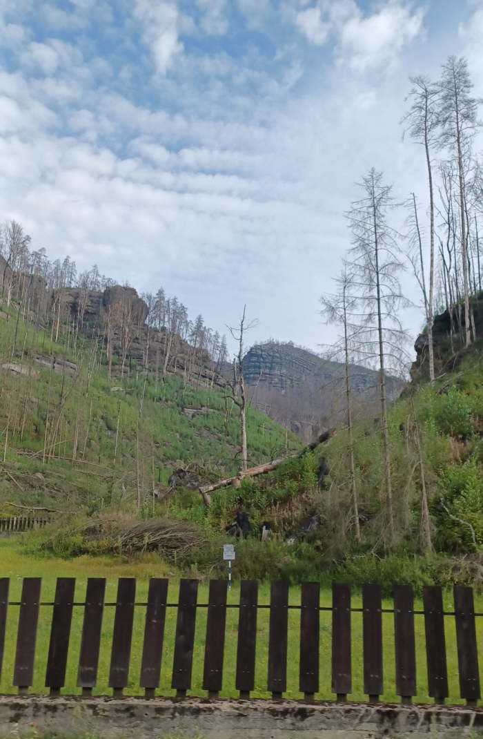 ebb48fe4-35fe-47b0-bcc5-1c10e188e8c1