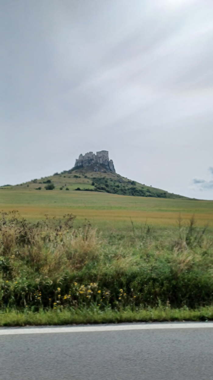 fe0d8da8-ca5d-4c29-8092-4ae5462ee391